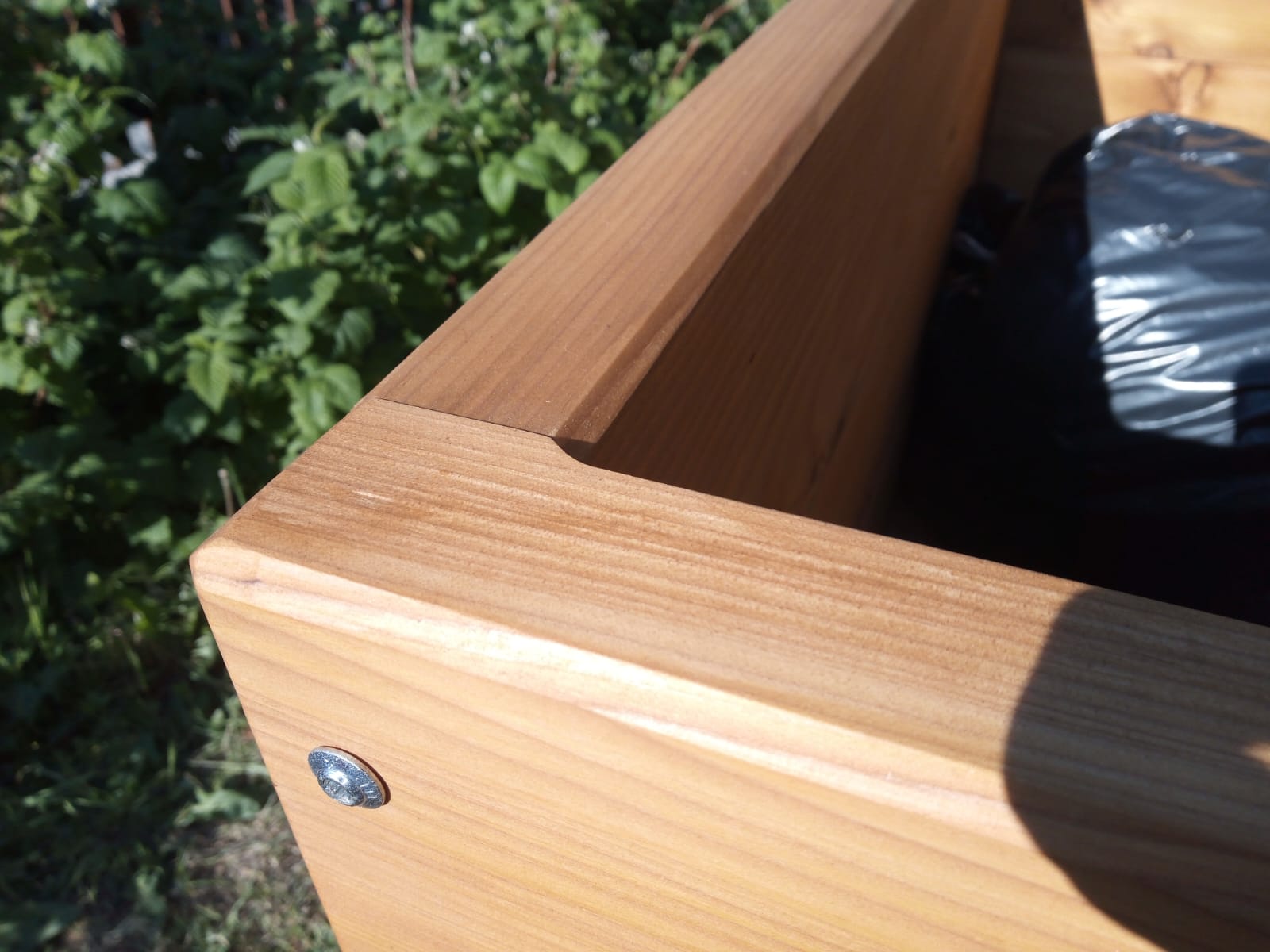 Fotografie modřínových záhonků