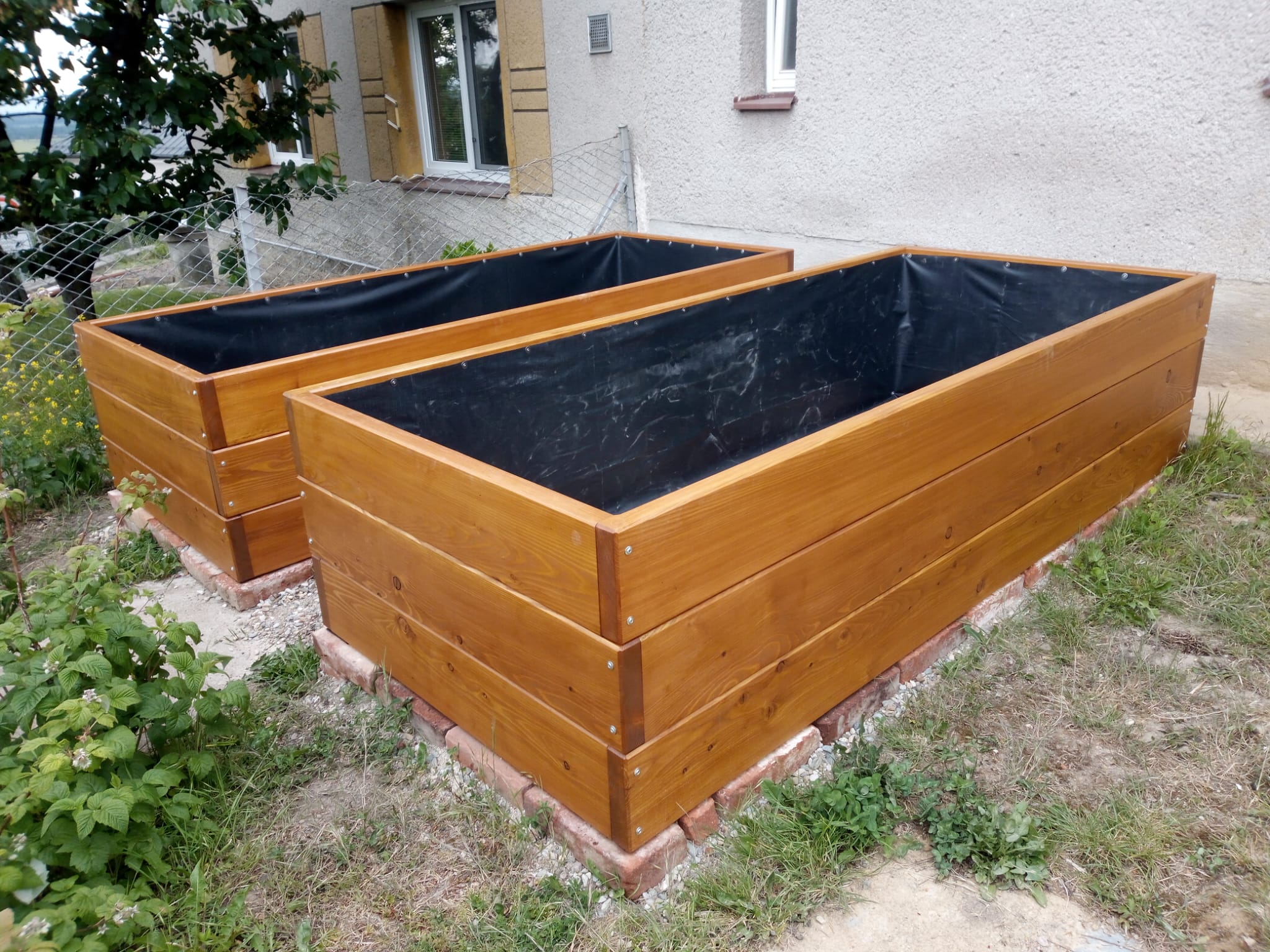 Fotografie modřínových záhonků