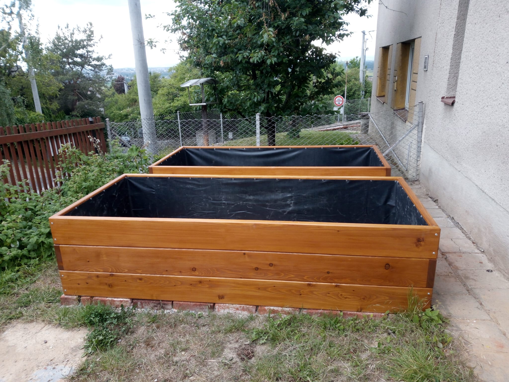 Fotografie modřínových záhonků